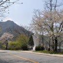 김유정 행장비 이미지