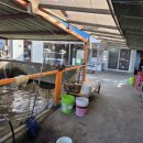 상무낚시터 이미지