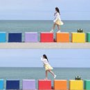 제주시절 이미지