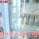 데비스제주