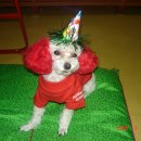 은평-009 이미지