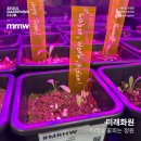 유니버시아드레포츠센터 건너 버스정류장 | 대구 복합문화공간 MRNW : 경계를 건너는 법 (예매 할인팁/개관일정 및 전시)