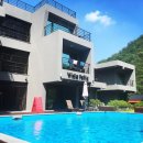 비다펠리스 이미지