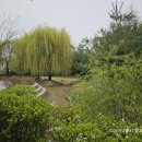 4월11일 (목) 한강김포조류생태공원 이미지