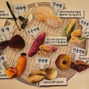 미마인 네이버블로그