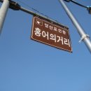 동강초등학교 | 자 가는거야 나주영산포에서 무안 회산 백련지까지