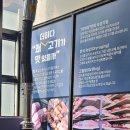 소담축산 | 경성대 맛집 추천 '더하다' 가성비 좋은 고깃집으로 적극 추천