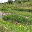 정량천 생태하천 이미지