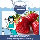 월드크리닝부산구서롯데 이미지