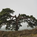 옥산3리 이미지