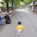 엔젤 | 14개월 땀쟁이 아기 팸퍼스 엔젤 에어차차 썸머팬티 대만족 후기