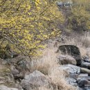 남도밧데리 이미지