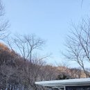 로뎅853-1 이미지