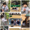 베리굿 농장