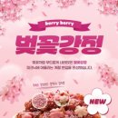 (주)그룬 티스토리