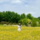 재밌지 않으면 재밌는 척 하고 산다! 5-6월 일상