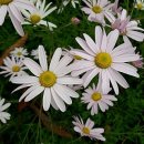 터골농원 이미지