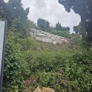 석성목장 이미지