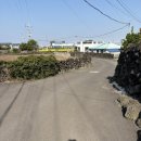 함덕8길5 게스트하우스 | 25년 혼자 제주 동쪽 여행(3)-2 비수기애호가, 이런날엔, 함덕 8길 5 게스트하우스