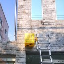 앞산강아지 이미지