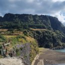 제주성산공인중개사사무소 이미지