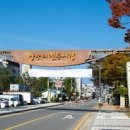 양수리전통시장(양평양수리시장) 이미지