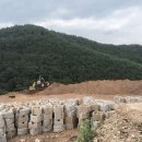 지주 태양광발전소 이미지