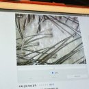 봉선동미용실다음 이미지