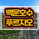 숲속의 아침 이미지
