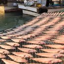 군산 참박대 수산 이미지