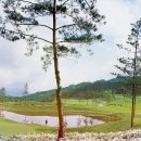 휘닉스골프연습장 이미지