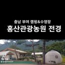 충남부여 캠핑&amp;수영장 홍산관광농원 전경 이미지