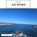 영금정 | 속초 영금정 카페 바다담다 내돈내산 솔직후기