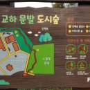 큰나무희망어린이집 이미지