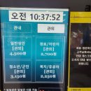 올림픽기념관 수영장 | 안산올림픽기념관수영장 주말 자유수영 후기 [원정수영]