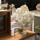 방배로25길 60 이미지