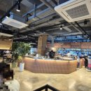 광복경양식 | 광복경양식 내돈내산 후기