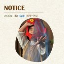 토토미용실 | 고마워토토 광교점 후기_1월 귤, 나무 / 2월 바다 / 3월 달팽이, 딸기