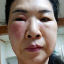 호범농장 Daum카페