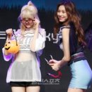 도연스포츠 이미지