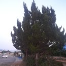 광명여인숙 이미지