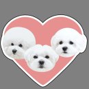 [<b>패션</b><b>펫플</b>] 키링&그립톡 굿즈제작