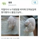 생닭집 이미지