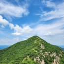 묘봉 | [공지] 보은-속리산 묘봉-보은 대추가 익어가는 곳