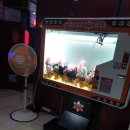 게임랜드21 이미지