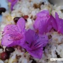 진달래밥상 이미지