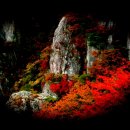 향산초등학교 이미지