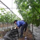 대곡동주민센터 이미지