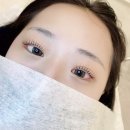 버니브로우 이미지