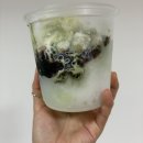 롯데리아 모란역점 | 롯데리아 토네이도 말차쿠키와 말차빙수 토핑과 맛과 후기